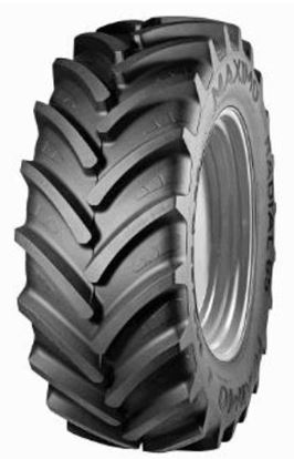 MAXIMO 540/65 R34 145D RADIAL 65 TL (16.9R30)